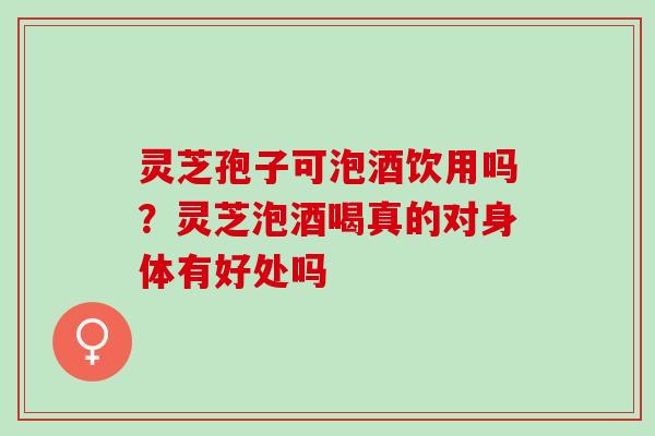 灵芝孢子可泡酒饮用吗？灵芝泡酒喝真的对身体有好处吗