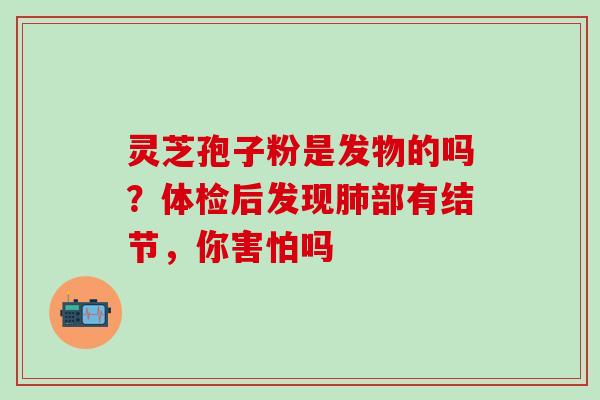 灵芝孢子粉是发物的吗？体检后发现肺部有结节，你害怕吗