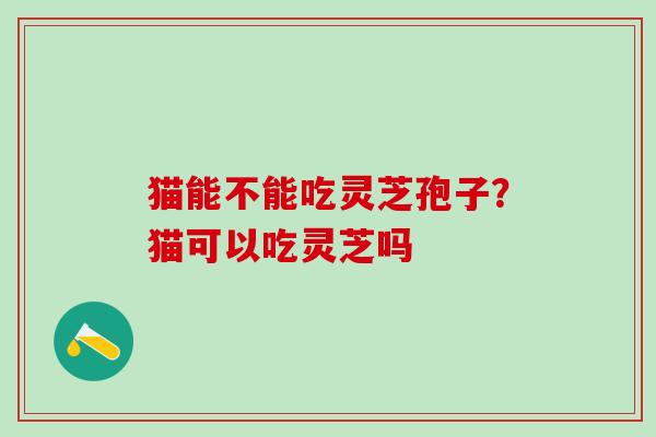 猫能不能吃灵芝孢子?猫可以吃灵芝吗 猫能不能吃灵芝孢子?猫可以吃灵芝吗
