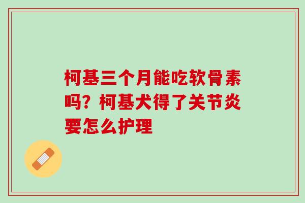 柯基三个月能吃软骨素吗？柯基犬得了关节炎要怎么护理