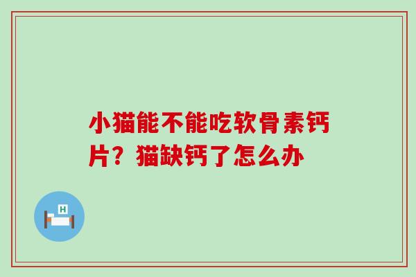 小猫能不能吃软骨素钙片？猫缺钙了怎么办