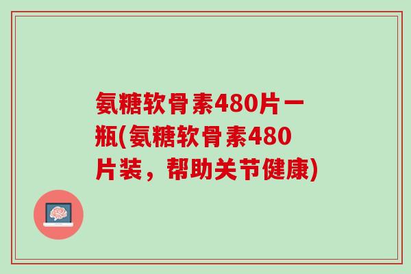 氨糖软骨素480片一瓶(氨糖软骨素480片装，帮助关节健康)