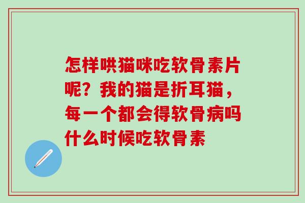 怎样哄猫咪吃软骨素片呢？我的猫是折耳猫，每一个都会得软骨病吗什么时候吃软骨素