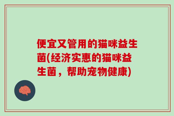 便宜又管用的猫咪益生菌(经济实惠的猫咪益生菌，帮助宠物健康)