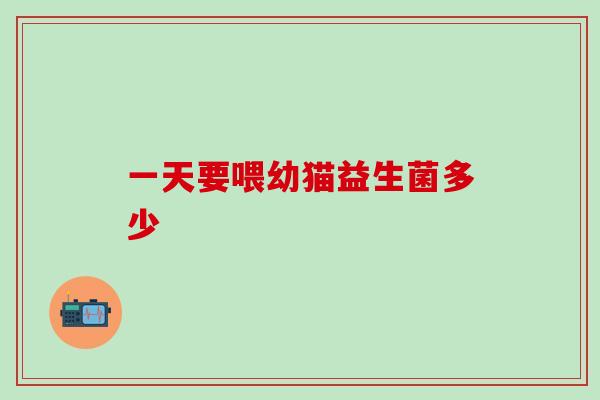 一天要喂幼猫益生菌多少