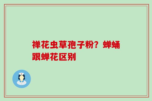 禅花虫草孢子粉?蝉蛹跟蝉花区别 禅花虫草孢子粉?蝉蛹跟蝉花区别