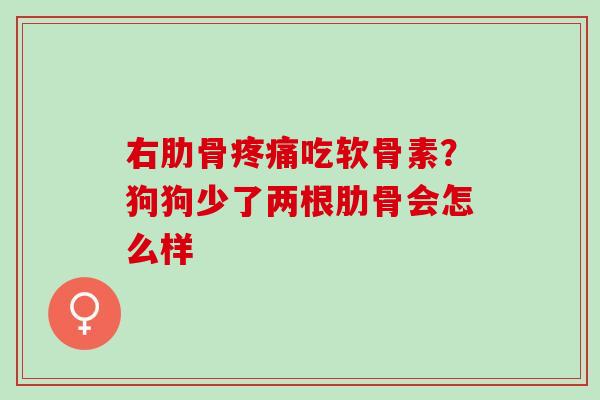 右肋骨疼痛吃软骨素？狗狗少了两根肋骨会怎么样