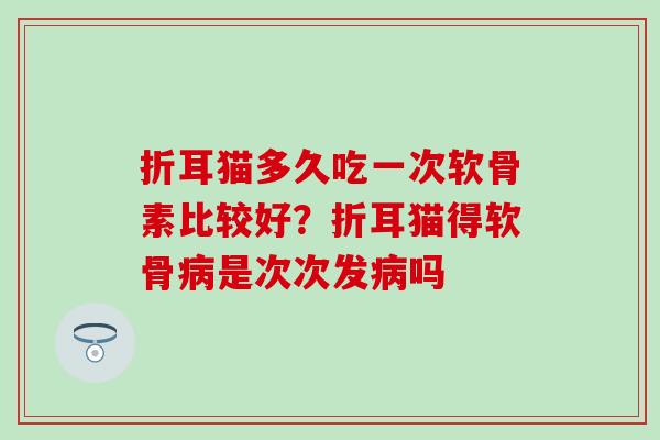折耳猫多久吃一次软骨素比较好？折耳猫得软骨病是次次发病吗