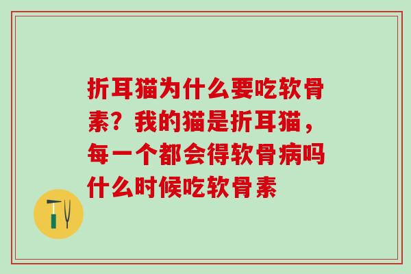 折耳猫为什么要吃软骨素？我的猫是折耳猫，每一个都会得软骨病吗什么时候吃软骨素