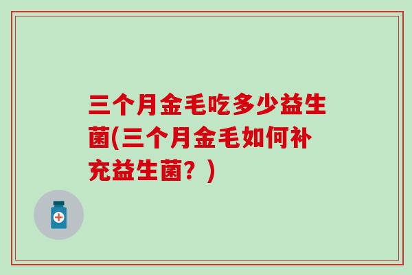 三个月金毛吃多少益生菌(三个月金毛如何补充益生菌？)