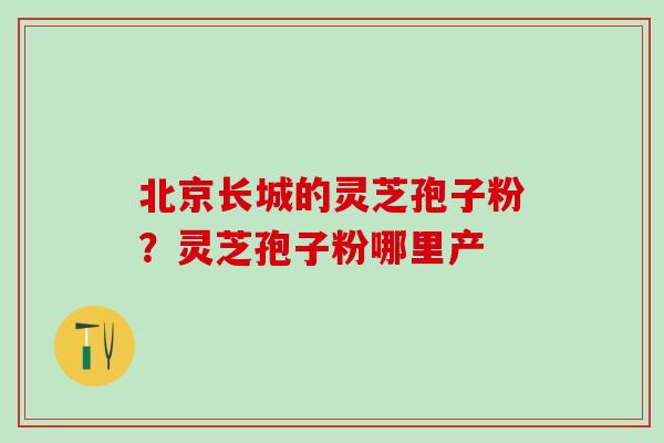 北京长城的灵芝孢子粉？灵芝孢子粉哪里产