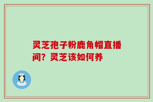 灵芝孢子粉鹿角帽直播间？灵芝该如何养