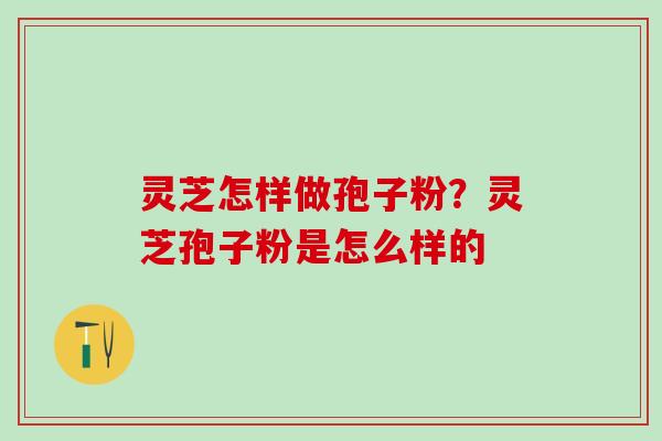 灵芝怎样做孢子粉？灵芝孢子粉是怎么样的
