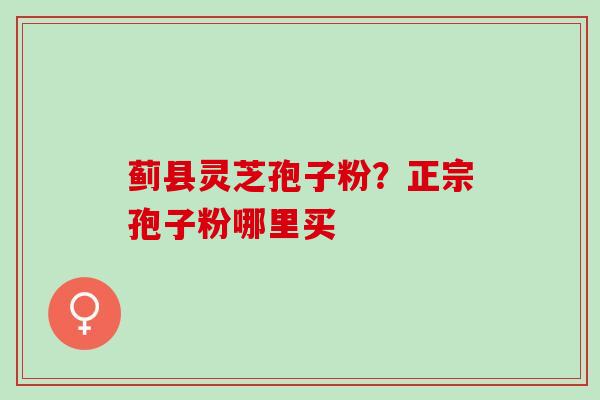 蓟县灵芝孢子粉？正宗孢子粉哪里买