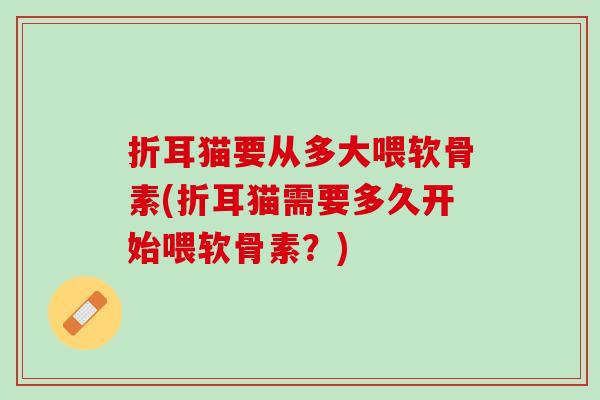 折耳猫要从多大喂软骨素(折耳猫需要多久开始喂软骨素？)