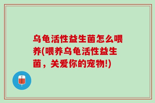 乌龟活性益生菌怎么喂养(喂养乌龟活性益生菌，关爱你的宠物!)