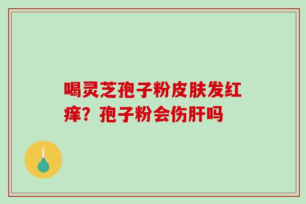 喝灵芝孢子粉皮肤发红痒？孢子粉会伤肝吗