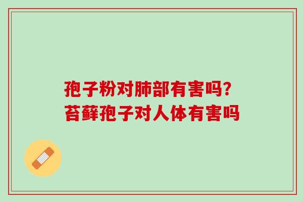 孢子粉对肺部有害吗？苔藓孢子对人体有害吗