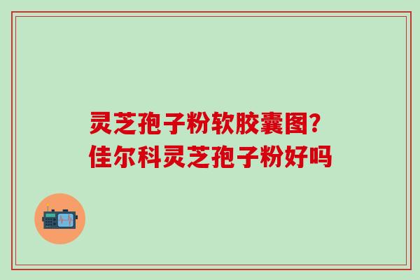 灵芝孢子粉软胶囊图？佳尔科灵芝孢子粉好吗