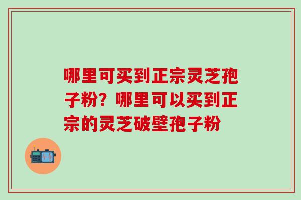 哪里可买到正宗灵芝孢子粉？哪里可以买到正宗的灵芝破壁孢子粉