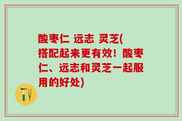 酸枣仁 远志 灵芝(搭配起来更有效！酸枣仁、远志和灵芝一起服用的好处)