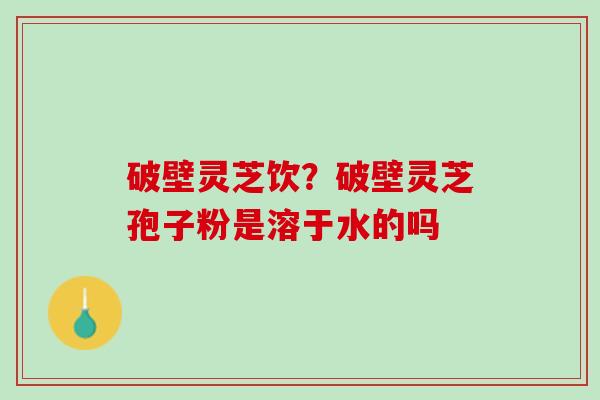 破壁灵芝饮？破壁灵芝孢子粉是溶于水的吗