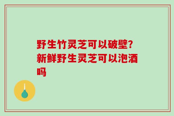 野生竹灵芝可以破壁？新鲜野生灵芝可以泡酒吗
