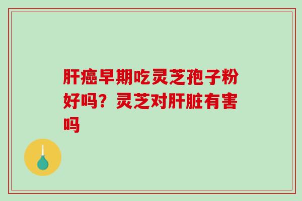 肝癌早期吃灵芝孢子粉好吗？灵芝对肝脏有害吗