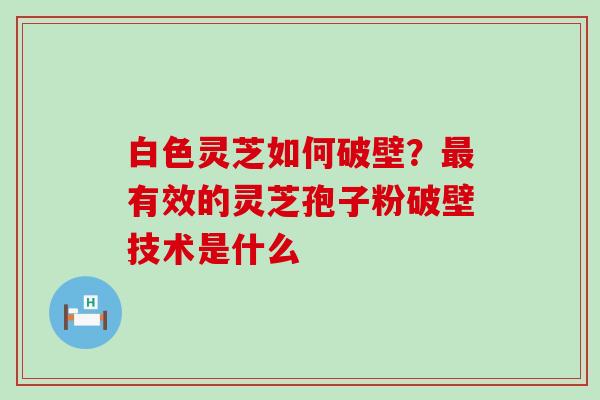 白色灵芝如何破壁？最有效的灵芝孢子粉破壁技术是什么