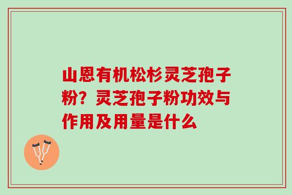 山恩有机松杉灵芝孢子粉？灵芝孢子粉功效与作用及用量是什么