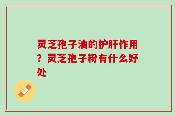 灵芝孢子油的护肝作用？灵芝孢子粉有什么好处