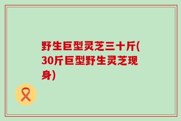 野生巨型灵芝三十斤(30斤巨型野生灵芝现身)