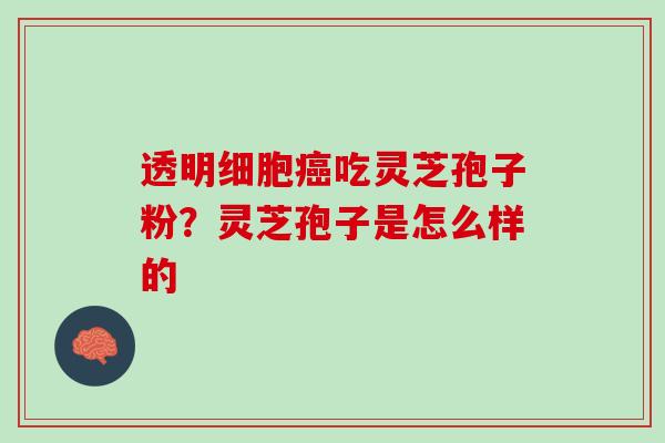 透明细胞癌吃灵芝孢子粉？灵芝孢子是怎么样的