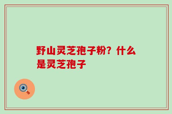 野山灵芝孢子粉？什么是灵芝孢子