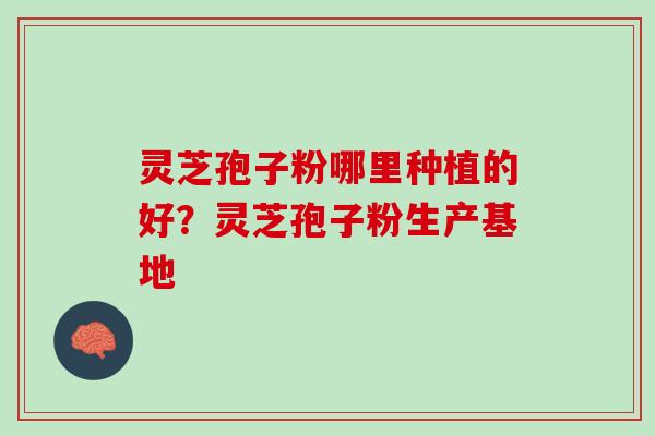 灵芝孢子粉哪里种植的好？灵芝孢子粉生产基地