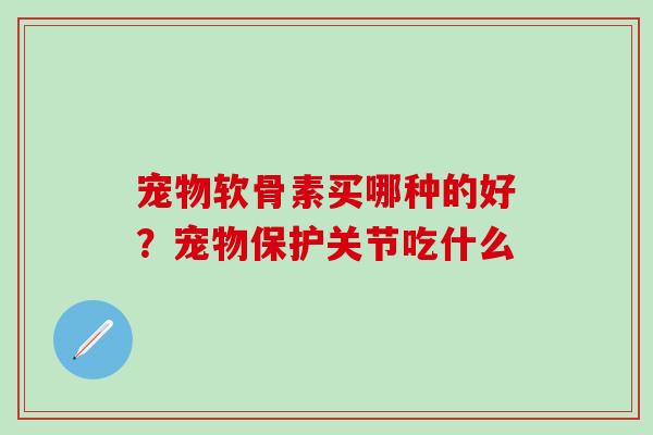 宠物软骨素买哪种的好？宠物保护关节吃什么