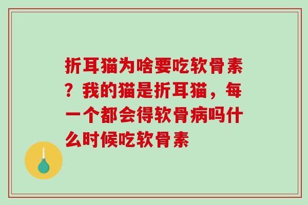 折耳猫为啥要吃软骨素？我的猫是折耳猫，每一个都会得软骨病吗什么时候吃软骨素