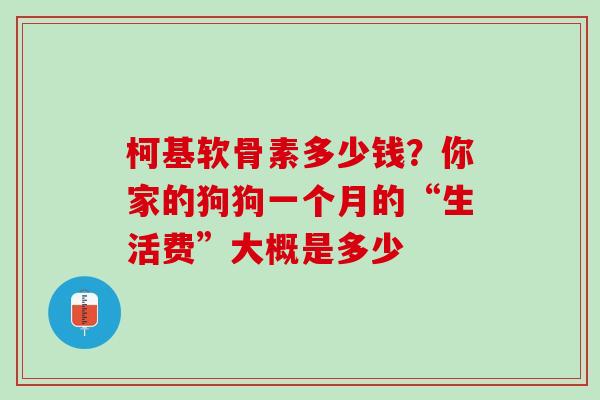 柯基软骨素多少钱？你家的狗狗一个月的“生活费”大概是多少