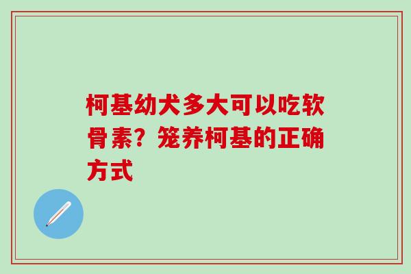 柯基幼犬多大可以吃软骨素？笼养柯基的正确方式