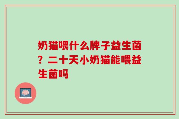 奶猫喂什么牌子益生菌？二十天小奶猫能喂益生菌吗