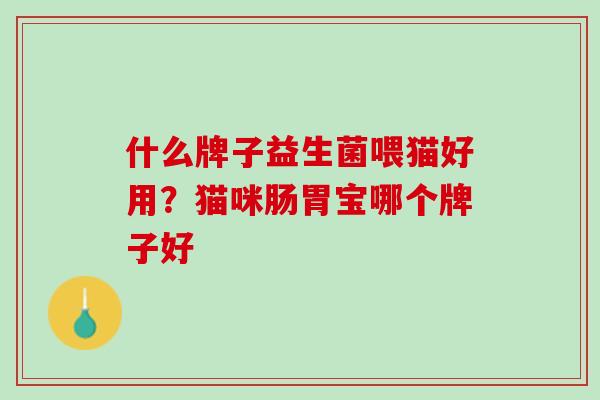 什么牌子益生菌喂猫好用？猫咪肠胃宝哪个牌子好