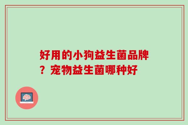 好用的小狗益生菌品牌？宠物益生菌哪种好