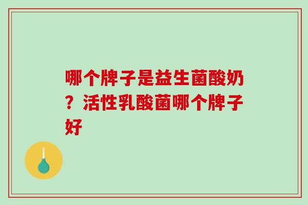 哪个牌子是益生菌酸奶？活性乳酸菌哪个牌子好