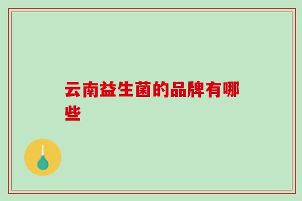 云南益生菌的品牌有哪些