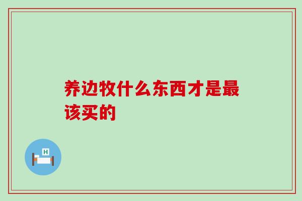 养边牧什么东西才是最该买的