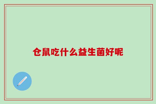 仓鼠吃什么益生菌好呢