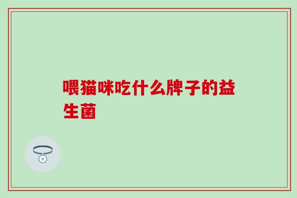 喂猫咪吃什么牌子的益生菌