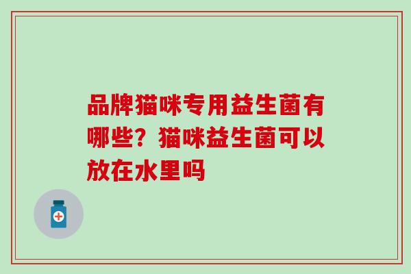 品牌猫咪专用益生菌有哪些？猫咪益生菌可以放在水里吗
