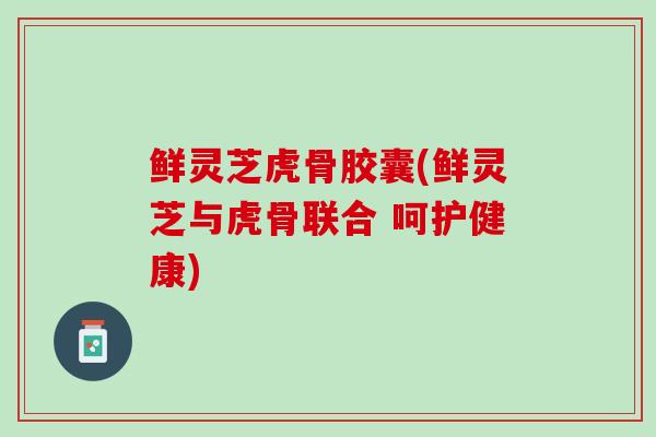鲜灵芝虎骨胶囊(鲜灵芝与虎骨联合 呵护健康)