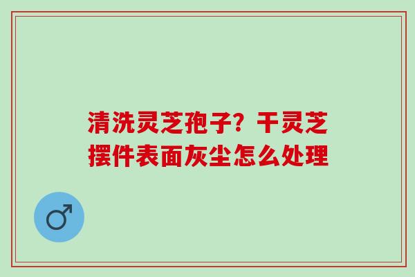 清洗灵芝孢子？干灵芝摆件表面灰尘怎么处理